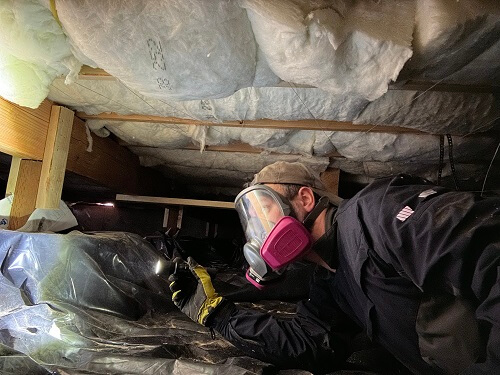 Inside of a crawlspace Inspector in a crawlspace